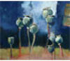 Poppy Joy